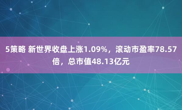 5策略 新世界收盘上涨1.09%，滚动市盈率78.57倍，总市值48.13亿元